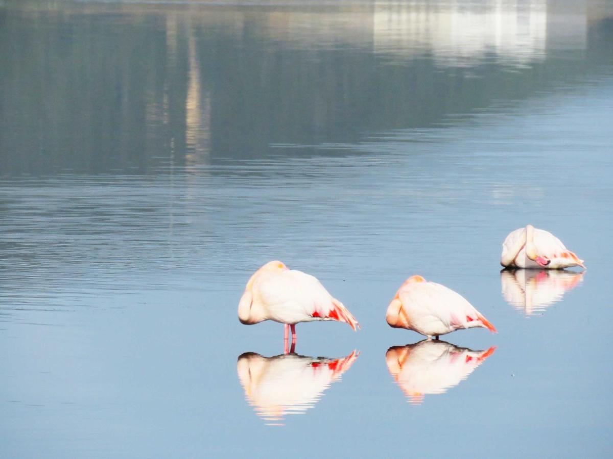 Panohome Porto Pino Buitenkant foto