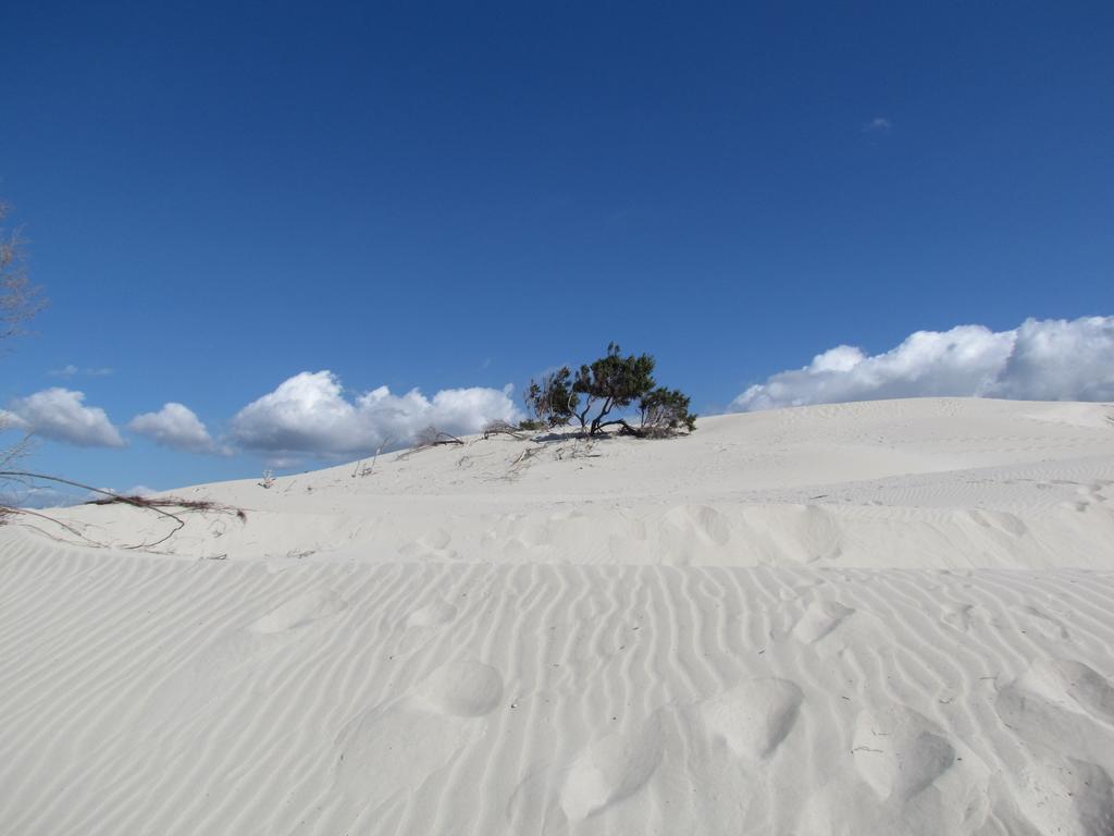 Panohome Porto Pino Buitenkant foto
