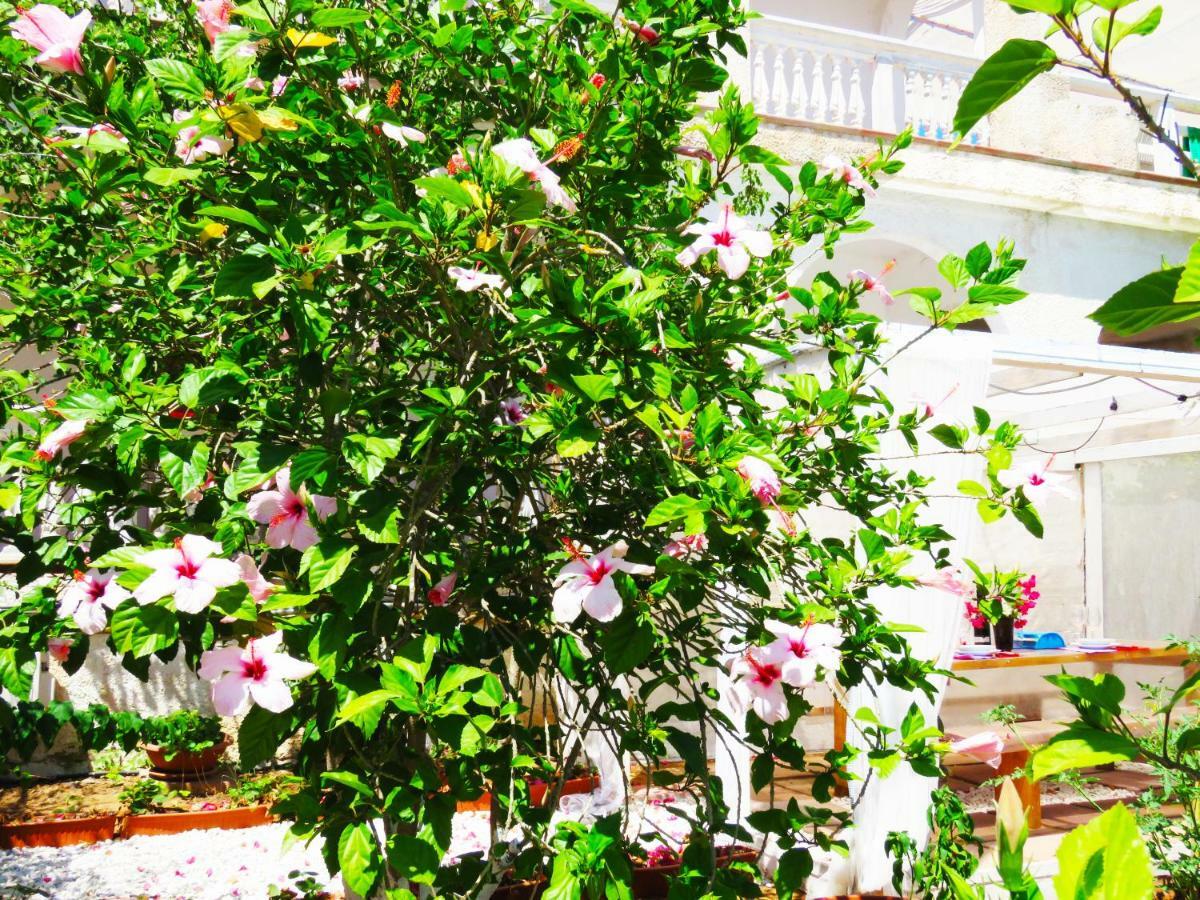 Panohome Porto Pino Buitenkant foto